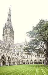 Vereinigtes Königreich, England, Wiltshire, Salisbury, Salisbury Cathedral, Innenhof mit Kreuzgang - DISF000986