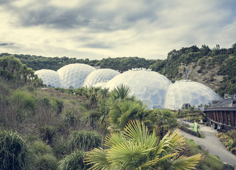 Vereinigtes Königreich, England, Cornwall, St Austell, Themenpark Eden Project, Botanischer Garten, lizenzfreies Stockfoto