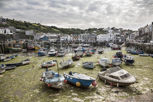 Großbritannien, England, Cornwall, Mevagissey, Hafen, Boote bei Ebbe - DISF001014