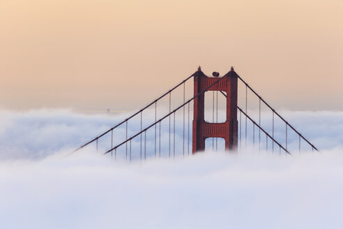 USA, Kalifornien, San Francisco, Golden Gate Bridge im Nebel vom Hawk Hill aus gesehen - FOF007011