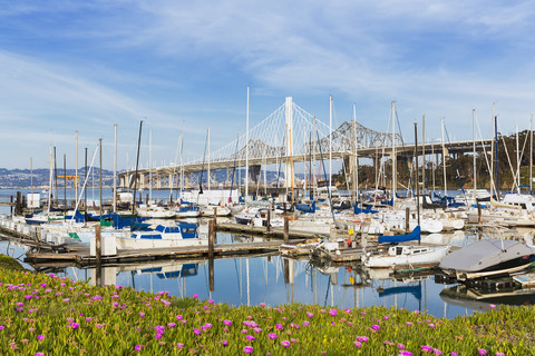 USA, Kalifornien, San Francisco, Yachthafen auf Treasure Island, lizenzfreies Stockfoto