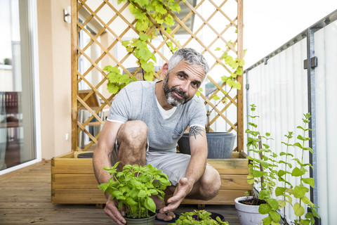 Porträt eines lächelnden Mannes bei der Gartenarbeit auf seinem Balkon, lizenzfreies Stockfoto