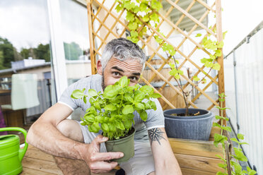 Man hiding behind flowerpot with basil on his balcony - MBEF001106