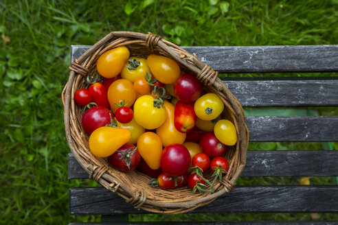 Korb mit verschiedenen Bio-Heirloom-Tomaten auf Holztisch im Garten - LVF001867