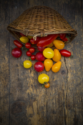 Korb mit verschiedenen Bio-Heirloom-Tomaten auf Holztisch, lizenzfreies Stockfoto