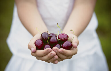 Girl's hands holding cherries - ASCF000035