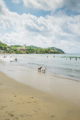 Mexiko, Nayarit, Sayulita, Pazifikküste, Strand - ABAF001476