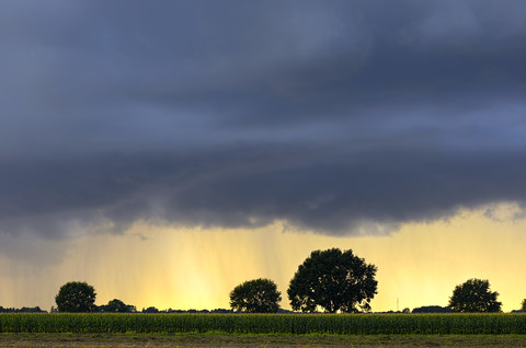 Deutschland, Hamburg, Regenwolken und Bäume, lizenzfreies Stockfoto