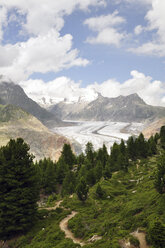 Schweiz, Wallis, Jungfrau-Aletsch-Bietschhorn, Aletschgletscher - SCH000406