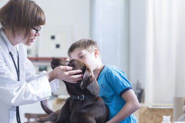 Junge beim Tierarzt mit Hund - SGF000846