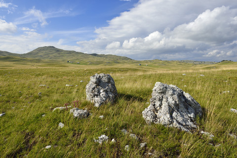 Montenegro, Crna Gora, Balkan, montane Steppe auf der Sinjavina- oder Sinjajevina-Hochebene, Durmitor-Nationalpark, lizenzfreies Stockfoto