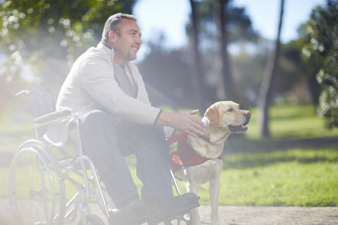 Mann im Rollstuhl mit Hund im Park, lizenzfreies Stockfoto