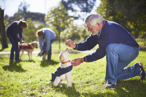 Blindenhunde bei der Hundeausbildung - ZEF000992