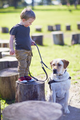 Little boy and his dog - ZEF000870