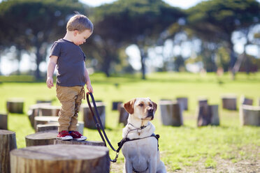 Little boy and his dog - ZEF000871