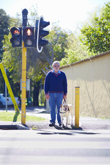 Visually impaired man waiting with his guide dog at pedestrian light - ZEF000997
