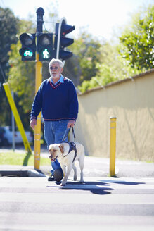 Visually impaired man crossing a street with his guide dog - ZEF000998