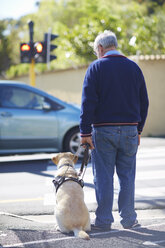 Ein sehbehinderter Mann wartet mit seinem Blindenhund an einer Fußgängerampel - ZEF001000