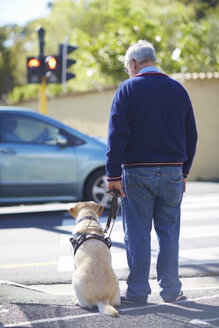 Visually impaired man waiting with his guide dog at pedestrian light - ZEF001000