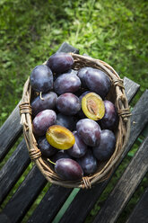 Wicker basket of plums on wooden chair in the garden - LVF001875