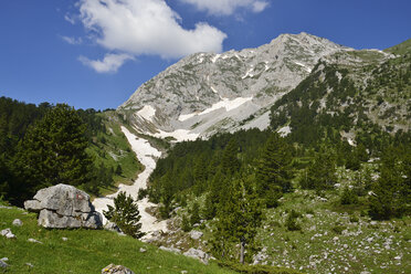 Montenegro, Schwarzkiefernwald an der Südseite des Komovi-Gebirges - ES001374