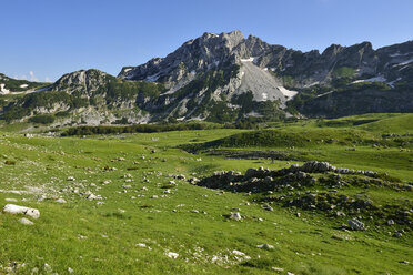 Montenegro, Durmitor-Nationalpark, Alpweide bei Valoviti Do - ES001375