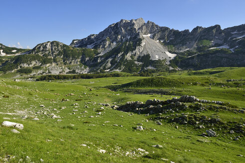 Montenegro, Durmitor National Park, Alpine pasture at Valoviti Do - ES001375