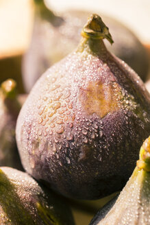 Fresh fig with drops of water - SARF000807