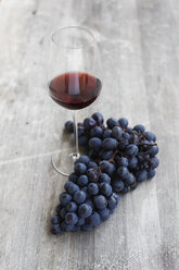 Rotwein und Weintrauben - JTF000570