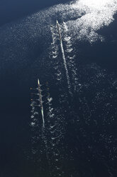 Elevated view of two rowing eights in water - ZEF000453