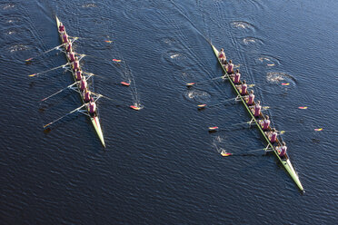 Elevated view of two rowing eights in water - ZEF000483