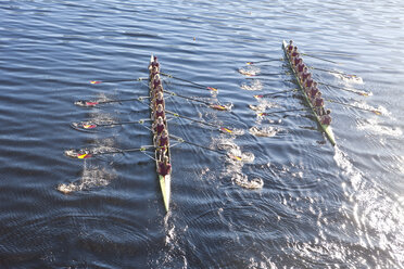 Elevated view of two rowing eights in water - ZEF000484