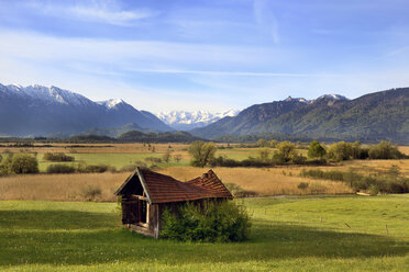 Germany, Upper Bavaria, Murnauer Moos and Ester mountains - LHF000410