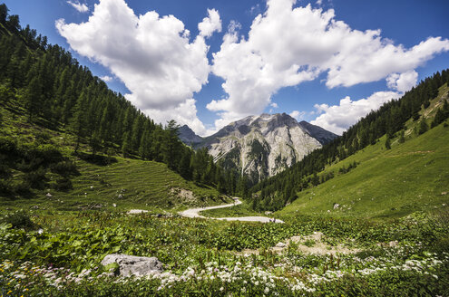 Österreich, Tirol, Karwendelgebirge, Eng Alp - THAF000713