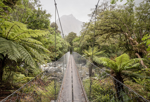 Neuseeland, Südinsel, Milford Track, Milford Sound, Drehbrücke, lizenzfreies Stockfoto