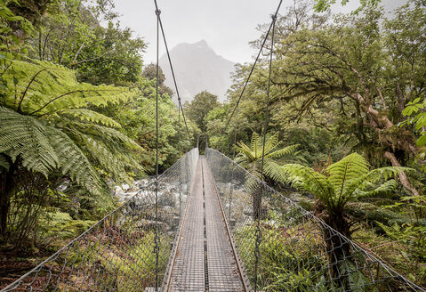 Neuseeland, Südinsel, Milford Track, Milford Sound, Drehbrücke - WV000690