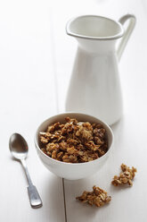 Bowl of granola with oak flakes and roasted pumpkin seeds - EVGF000885