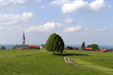 Deutschland, Bayern, Irschenberg - LBF000947