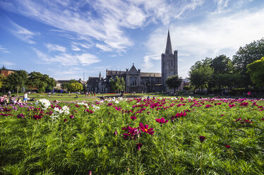 Irland, Grafschaft Dublin, Dublin, Wood Quay, St. Patrick's Cathedral und St. Patricks Park - THAF000727