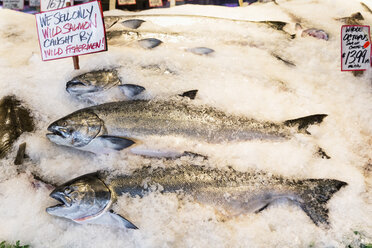 USA, Staat Washington, Seattle, Pike Place Fish Market, Wildlachse am Marktstand - FO007107