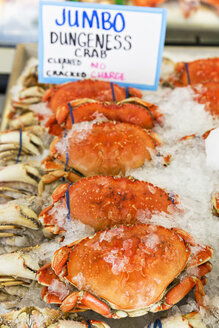 USA, Bundesstaat Washington, Seattle, Pike Place Fischmarkt, Dungeness-Krabben am Marktstand - FO007104