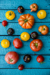 Verschiedene Heirloom-Tomaten auf blauem Holz - SARF000849