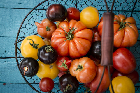 Verschiedene Heirloom-Tomaten in einem Drahtkorb, lizenzfreies Stockfoto