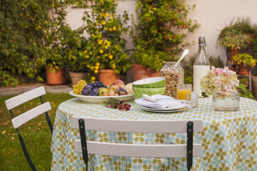 Gesundes Frühstück auf dem Gartentisch - WDF002636