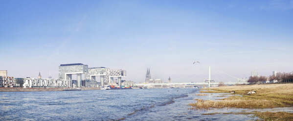 Germany, North Rhine-Westphalia, Cologne, River Rhine and Crane Houses, Cologne Cathedral in the background - MAD000012