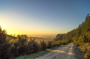 Australia, Queensland, mountain path at sunrise - PUF000094