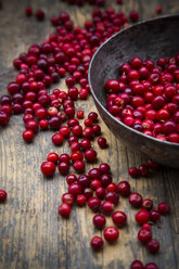 Lingonberries, Vaccinium vitis-idaea, in a bowl - LVF001927