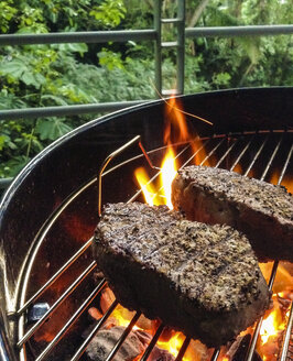 Filetsteaks vom Rinderfilet über Holzkohlefeuer auf dem Barbecue-Grill - ABAF001486