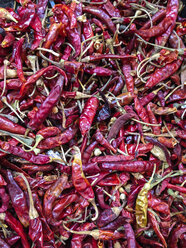 Close up of dried peppers - ABAF001487