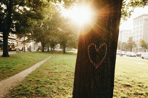 Germany, Berlin, heart painted on tree trunk - ZMF000379